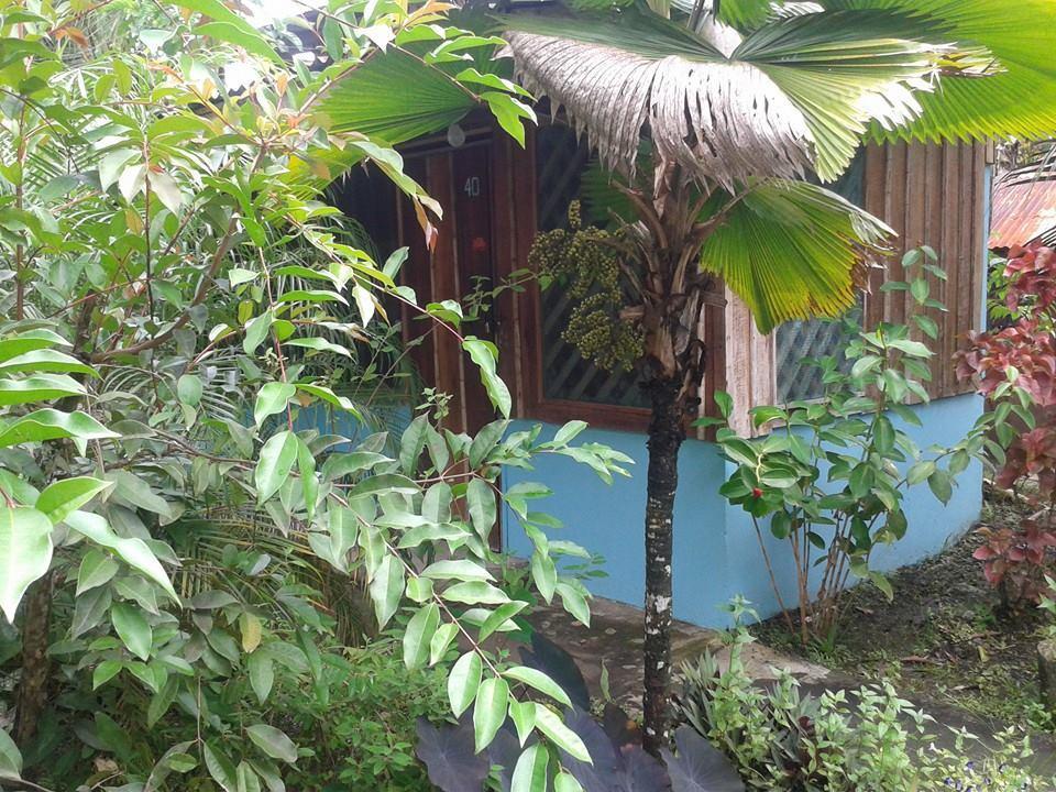 Hotel Puerto Viejo Puerto Viejo de Talamanca Экстерьер фото